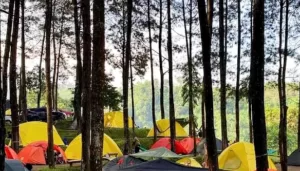 Bosan Suasana Perkotaan! Berikut Rekomendasi Tempat Camping Di Bogor