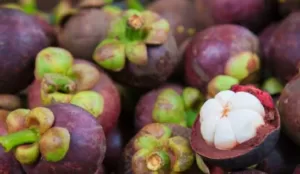 Khasiat Buah Manggis Untuk Kesehatan