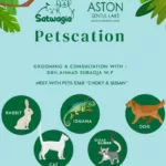 Petscation Aston Sentul