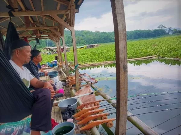 Tak Harus Pakai Cacing, Ini 4 Umpan Alternatif untuk Mancing Ikan Air Tawar