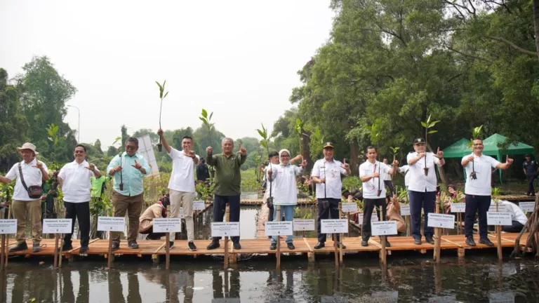 Apical peringati Hari mangrove sedunia