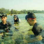 Pulau Sangiang
