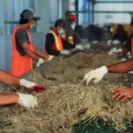 PLN Kembangkan Pembangkit Listrik Dari Sampah di Palembang