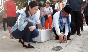 Wamenparekraf Lepas Tukik Sisik di Pantai Sunrise Pulau Pramuka Kepulauan Seribu