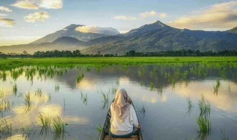 Berbagai Daya Tarik Wisata Rawa Pening1