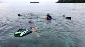 Menikmati Petualangan Memukau di Pulau Dolphin, Kepulauan Seribu Jakarta