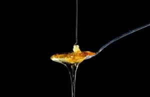 Manfaat Madu Bagi Kesehatan Tubuh