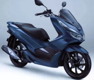 Cara Merawat Cat Doff