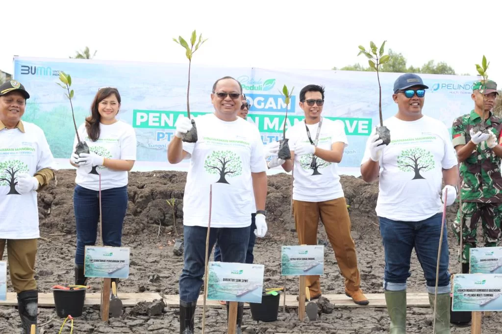 Pelindo Multi Terminal Tanam 8 Ribu Bibit Mangrove di Kalimantan