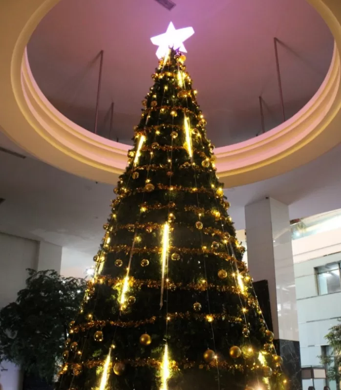 Christmas Tree Lighting Ceremony: Merlynn Park Hotel