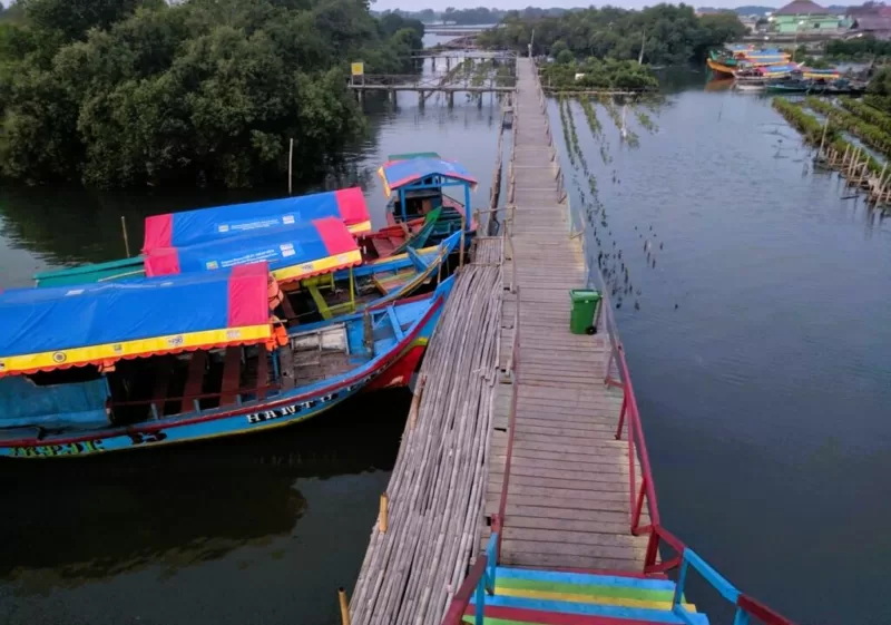Ekowisata Jembatan Cinta Bekasi 