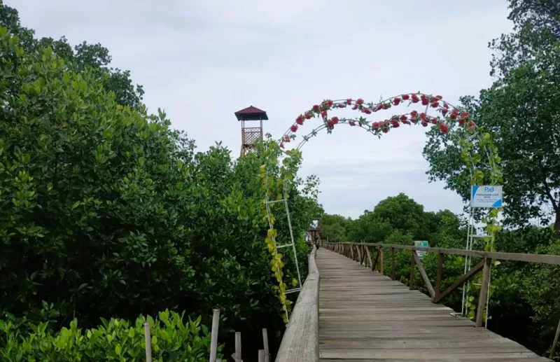 Ekowisata Jembatan Cinta Bekasi 