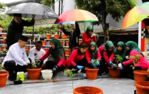 Gerakan Tanam Cabai Serentak, Kabupaten Kepulauan Seribu Ikut Berpartisipasi