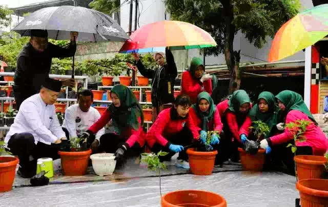 Gerakan Tanam Cabai Serentak, Kabupaten Kepulauan Seribu Ikut Berpartisipasi