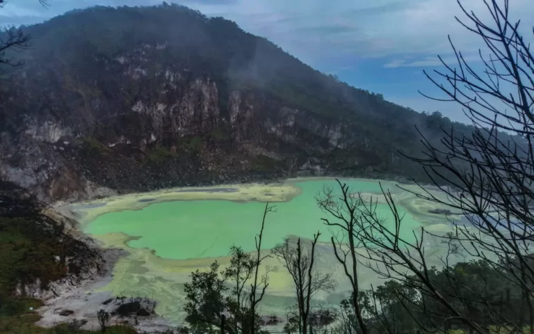 Gunung Patuha & Kawah Putih Ciwidey