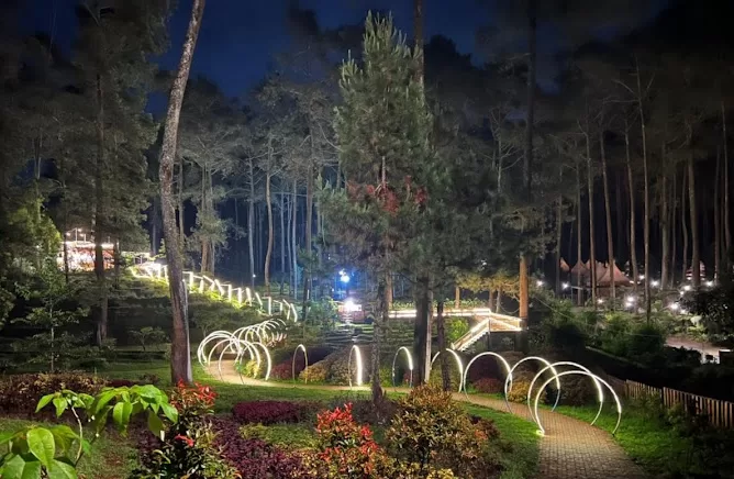 Kebon Pines Cikole