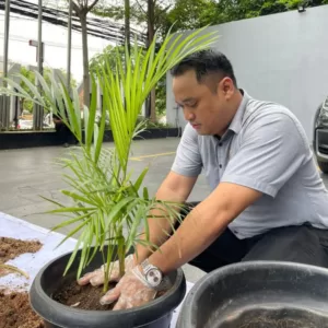 Luminor Hotel Kota: Berkomitmen Pada Keseimbangan Ekosistem Melalui Gerakan Luminor Go Green Di Hari Menanam Pohon Sedunia
