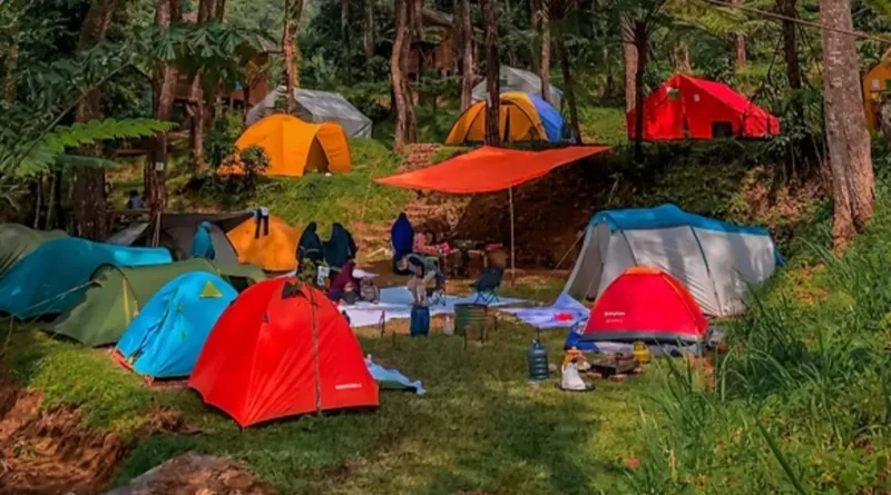 Kampung Rimba Puncak Sensasi Berenang Di Tengah Hutan Pinus, Berani Coba?