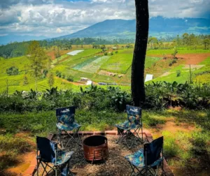 Datar Pinus Camp pengalengan