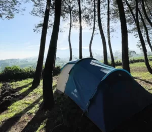 Datar Pinus Camp pengalengan