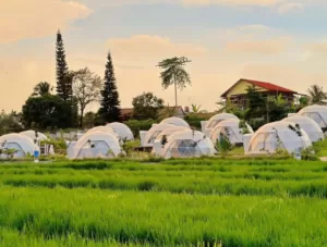Review Menginap di Glamping Lenirra Villa and Resto Cijeruk, Bogor