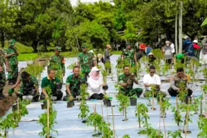 Jaga Ketahanan Pangan dan Inflasi Daerah, Jakarta Gencarkan Urban Farming