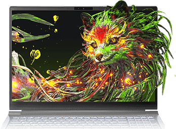 Axioo Pongo Studio Laptop Gaming
