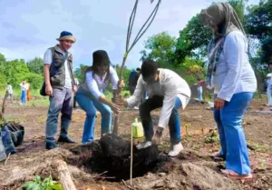 Abang None Tanam Puluhan Bibit Pohon Mangga Di Pulau Tidung Kecil