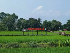 3 Rekomendasi Wisata Alam di Kota Bogor, Nuansa Alamnya Boleh Di Adu!
