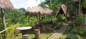 3 Rekomendasi Wisata Alam di Kota Bogor, Nuansa Alamnya Boleh Di Adu!
