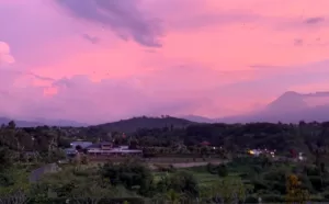 Resmi Di Buka VIB Express Room & Resto: Wisata Terbaru di Puncak Konsep Retro dan Modern