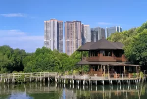 Taman Wisata Alam Mangrove Angke Kapuk, Keindahan Alam Di Tengah Kota Jakarta