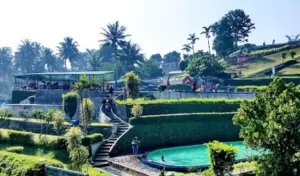 Wisata Air Taman Angsa The Lone Swan Park Sukabumi Rekomendasi Liburan Bareng Keluarga Sambil Healing