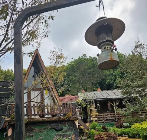 The Farm Pancawati Bogor Suguhkan Suasana Perkebunan Jati dan Pemandangan Gunung
