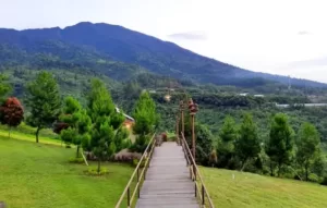 Kancana Mandira Glamping Surga Tersembunyi Di Tengah Cidahu 
