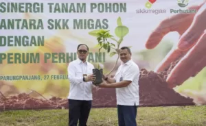 Kolaborasi Perhutani Bersama SKK Migas Tanam Ribuan Bibit Pohon Guna Tingkatkan Serapan Karbon Di Bogor