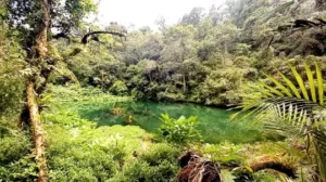Air Terjun Curug Cibeureum, Berwisata Sambil Ngabuburit Di Kaki Gunung Gede Pangrango