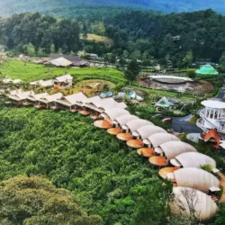 Liburan Lebaran Di Asstro Highlands Ciater Bareng Keluarga Sambil Bakar-bakaran Di Tengah Hutan