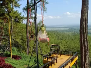 Kemit Forest Education Hidden Gem Cilacap Rekomendasi Liburan Bareng Keluarga Sambil Mudik Lebaran