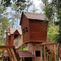 Kemit Forest Education Hidden Gem Cilacap Rekomendasi Liburan Bareng Keluarga Sambil Mudik Lebaran