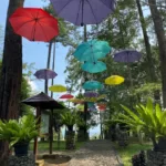 Kemit Forest Education Hidden Gem Cilacap Rekomendasi Liburan Bareng Keluarga Sambil Mudik Lebaran