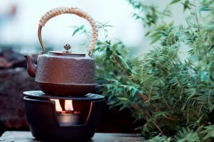 Minum Air Hangat Setiap Hari Untuk Kesehatan Tubuh Yang Wajib Anda Ketahui