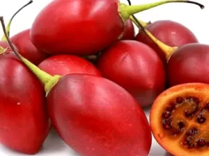 Manfaat Terong Belanda Untuk Kesehatan