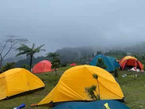 Camping Di Bukit Saung Geulis Joglo, Nikmati View Pegunungan Dan City Light Kota Bogor