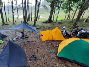 Situ Cipiit Sukabumi, Bisa Buat Camping Asyik Di Hutan Pinus