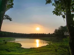 Situ Cipiit Sukabumi, Bisa Buat Camping Asyik Di Hutan Pinus