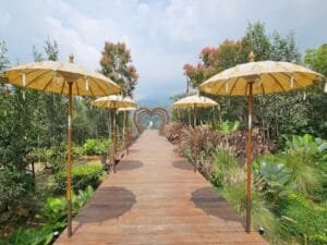 Coffee Shop Tropical Deck Puncak Bogor Suguhkan Nuansa Bali View Alam Menakjubkan