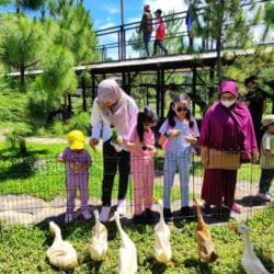 Jasmine Park Tempat Wisata Keluarga Cisauk Tangerang