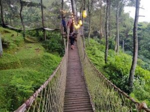 Pasir Langlang Panyawangan, Rekomendasi Liburan Di Tengah Hutan Pinus Purwakarta
