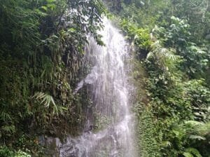 Pasir Langlang Panyawangan, Rekomendasi Liburan Di Tengah Hutan Pinus Purwakarta